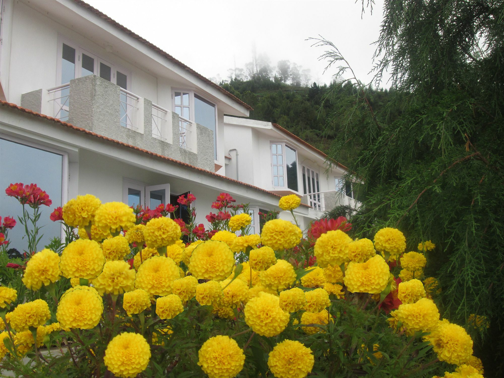Country Club Valley Vista Kodaikanal Exterior foto